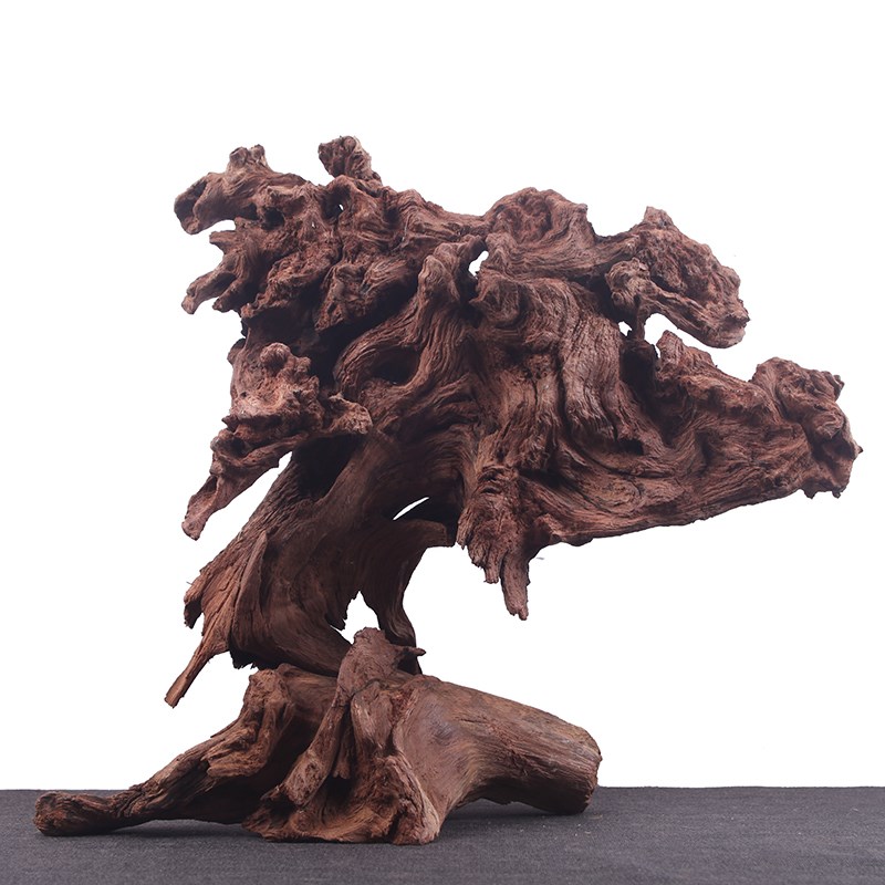 鱼缸水沉木造景珊瑚天然枯木树根根雕摆件南美草缸溪流水陆雨林缸