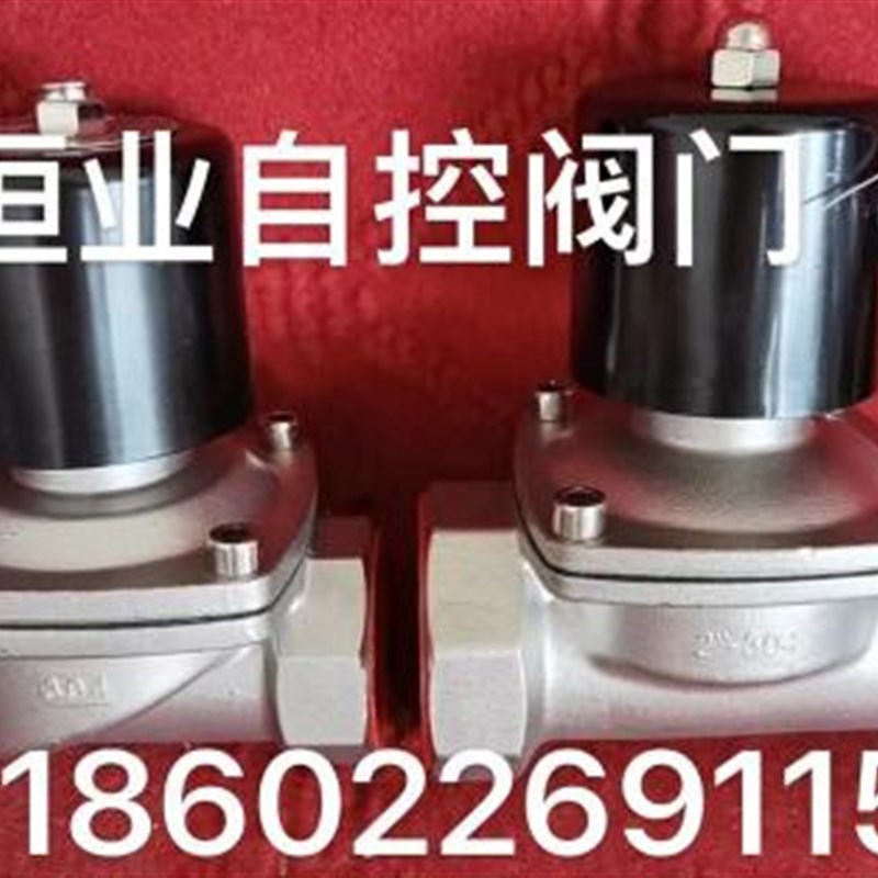 上海恒业自控304不锈钢电磁阀2W-10T DF ZCS AC220V DC24防爆手动