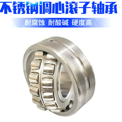 不锈钢调心球轴承双排滚珠S1200 S1201 S1202 S1203 S1204 S1205