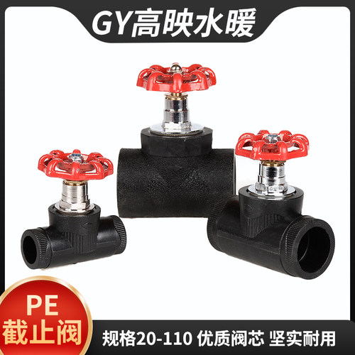 pe升降式截止阀20自来水管热熔接头25精品全铜加厚阀门阀芯4分6分