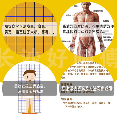 儿童身高体态评估表站姿体测网格壁画背景墙纸中小幼儿体测评估图