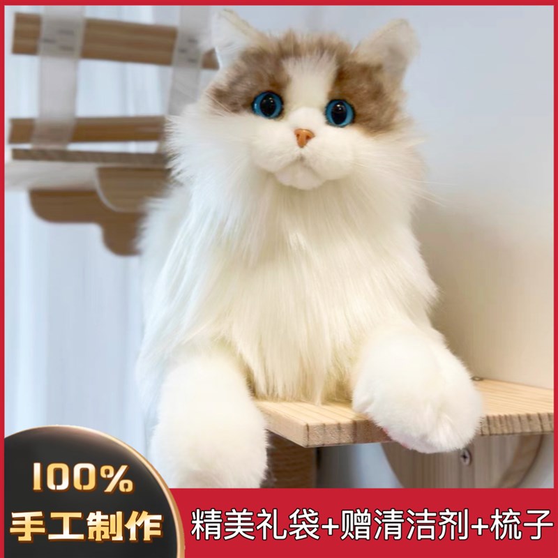 趴姿小猫围脖款公仔PP棉t填充仿真布偶猫毛绒玩偶女生儿童玩具礼