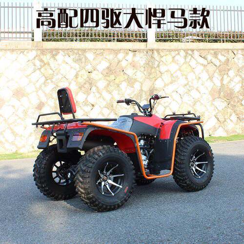 游乐景风双人机全地形四轮沙滩车ydpJx4yG汽油四驱自动挡雪区地车