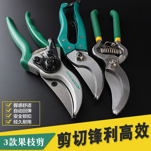 树枝剪 园林剪园艺剪 修枝剪 果树剪刀花剪刀 剪树枝剪刀 果枝剪
