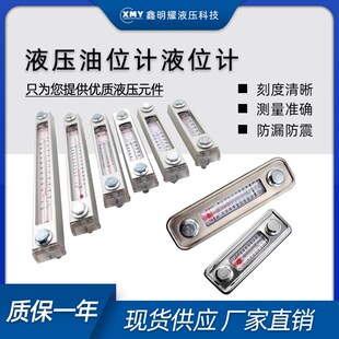 液位计LS-3/5油位计YWZ-100T液压油尺液位控制器水位计液位显示器