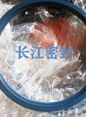 CFW BAFUDSLX7 90-120-12德国进口骨架油封SIMMERRING FREUDENBER