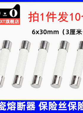 陶瓷保险丝管1A4A5A6A7A8A10A15A20A25A 熔断器6x30mm  F1AL250V