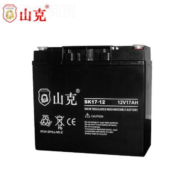 山克蓄山克电S池K12-7/V4/38/265/100AH阀控式铅酸免维护UPS电池