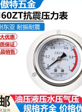 YN60ZT杭州东亚轴向带边耐震压力表0-1 1.6/2.5/4/16/25/40/60MPA