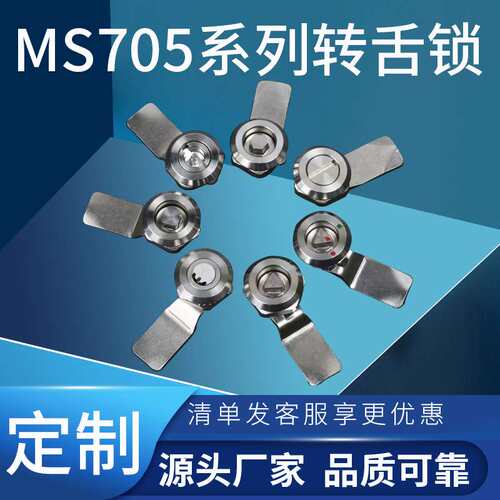 利达配电箱门锁不锈钢锁三角锁钥匙一字锁伸缩拉紧转舌锁 MS705