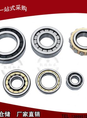 圆柱轴承1701238江淮大客皮卡变速箱轴承24RJK05S农机轴承NCL205V