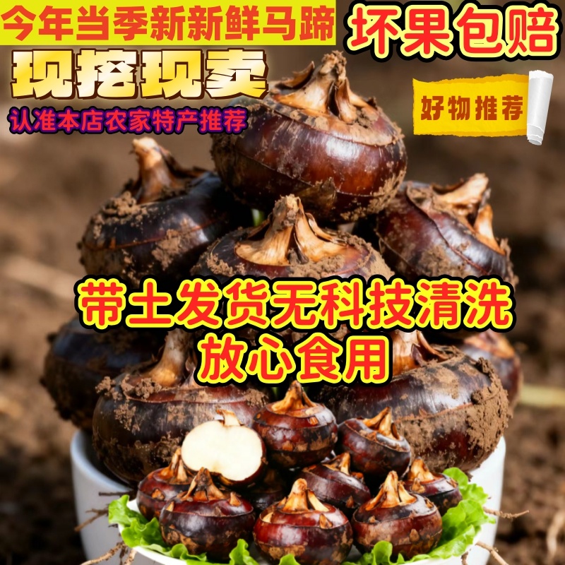 【官方推荐】新鲜马蹄荸荠大果甜