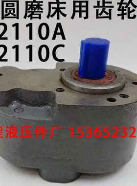 无锡机床厂 内圆磨床用齿轮泵 M2110A M2110C 油泵 M2110配件