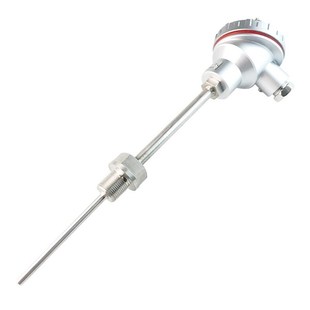 pt100 A级 螺纹m20 236sa 1.5 直径6 双支铂热电阻 300 wzpk2