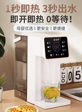 麦肯熊饮水机家用台式多功能烧水壶便过滤式直饮机办公室速热饮水