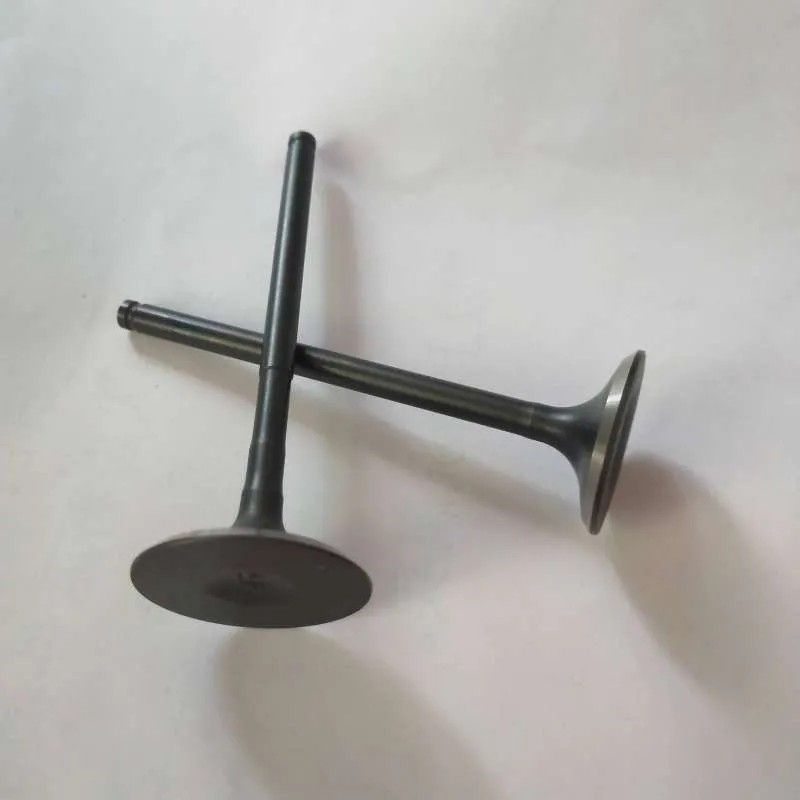 适用五羊本田锋翔电喷金CG WH125-2-3A-15-15A-19-20气门进排气门