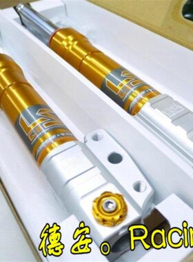 台湾RPM GII LS G2 LS 前减震前避震前叉 新劲战 BWSR 林海极光