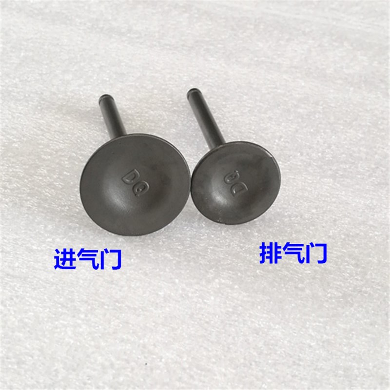大运摩托弯梁车DY110-2K/3K/6K/7K专用气门 进气门 排气门组件