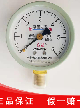 红旗仪表厂家直销YO-60 氧气禁油压力表减压开关气体钢瓶脱脂压表