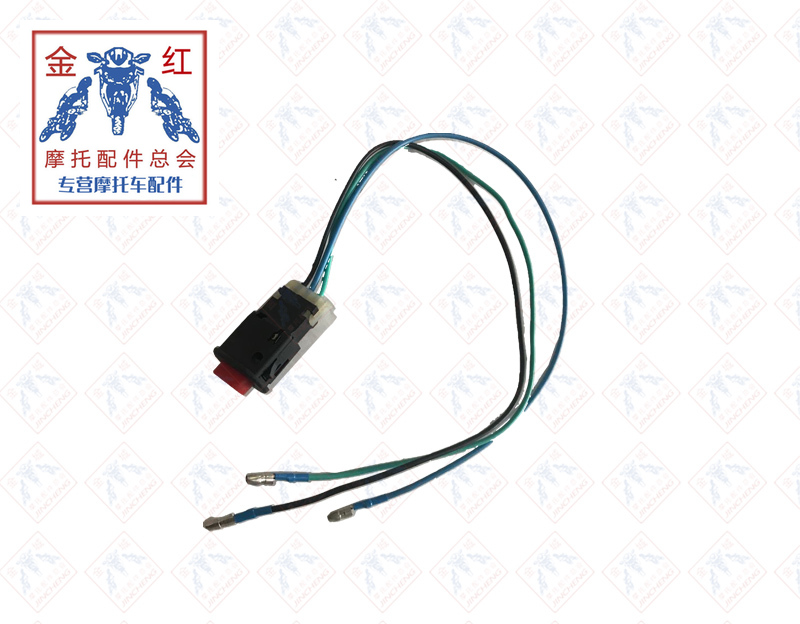 适用金城JC200T-6欧宝路二代JC200K-Cross拉力双闪灯