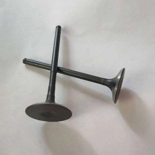 15A 20气门进排气门 适用五羊本田锋翔电喷金CG WH125