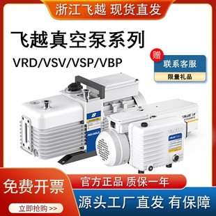 16双级旋片泵VSV 28单级实验室工业电动油泵 飞越机械泵VRD