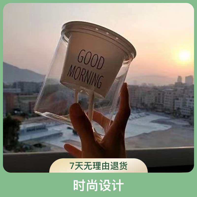 水培花瓶塑料花盆自动吸水懒人花盆早安浇灌可栽绿植盆栽多肉透明