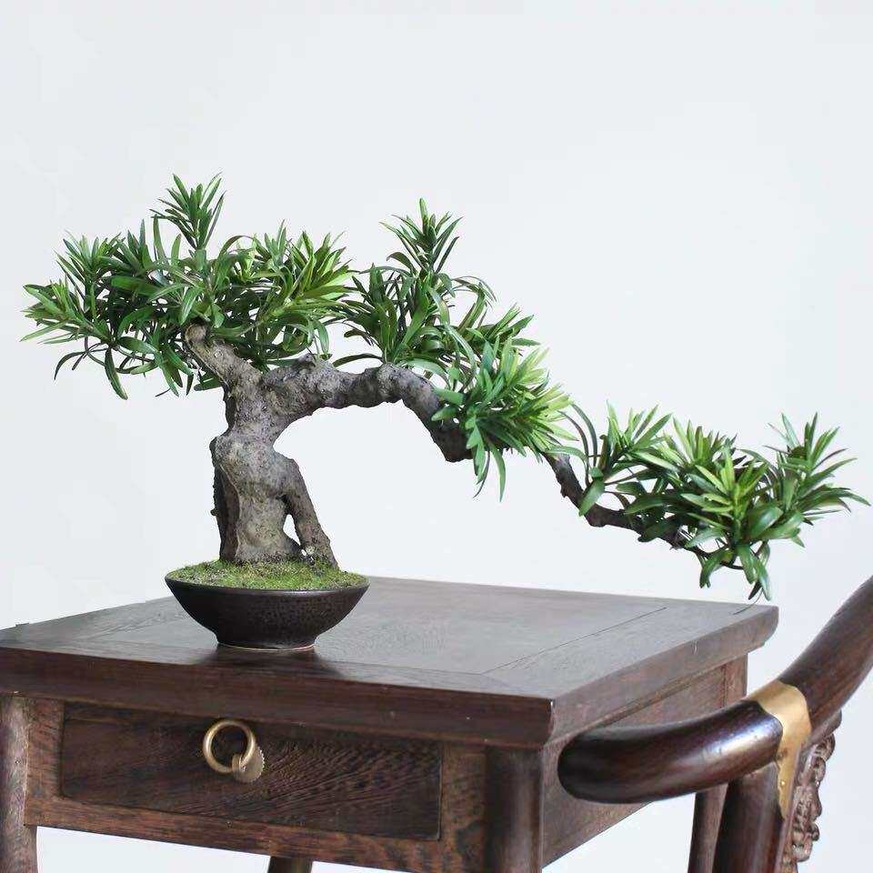 迷你仿真罗汉松迎客松仿真盆栽 室内摆件盆景盆栽仿真植物