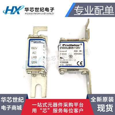 全新进口 DN000UB69V125V 125a 690v Y330025熔断器 Protistor