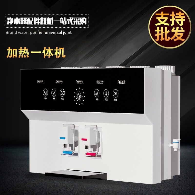 净水器家用直饮机加热一体壁挂式瞬热饮水过滤嵌入台式净水机