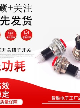 按钮开关 钮子开关 复位按键 红色 DS-316 无锁 5只