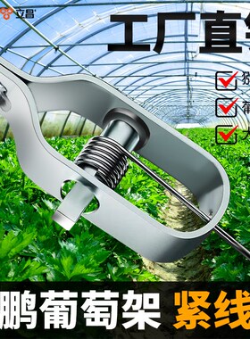 立昌钢丝绳收紧器拉紧器大棚葡萄架铁丝紧固紧线器自锁镀锌防锈