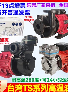 TS-63/71台湾高温油泵模温机热油循环泵耐高温280C油泵导热油泵
