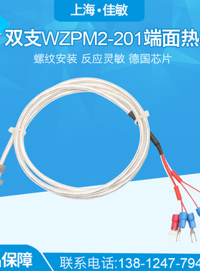 上海自动化仪表三厂端面热电阻WZPM-201 PT100双支六线 WZPM2-201