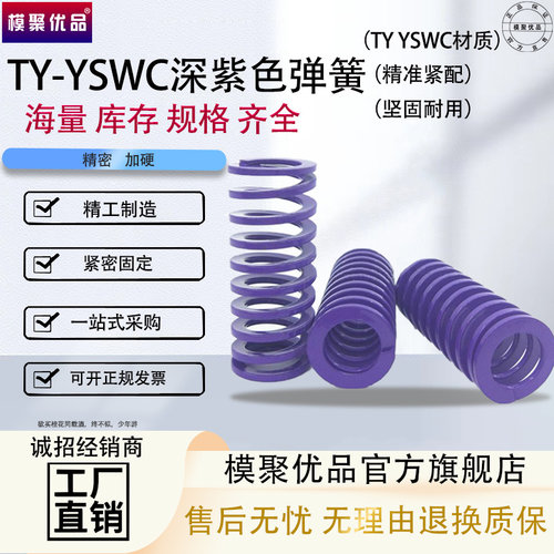 紫色弹簧合金弹簧模具弹簧矩形弹簧扁线弹簧TY YSWC耐热模具弹簧