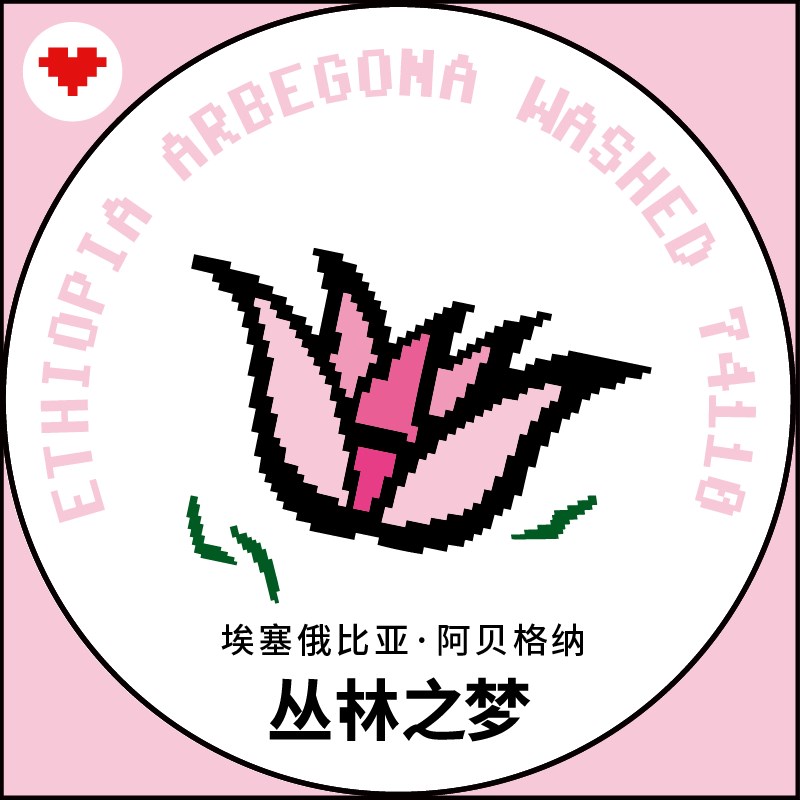 捌比特埃塞俄比亚丛林之梦之境浅烘焙水洗处理手冲精品咖啡豆100g