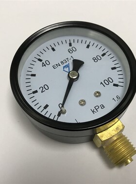 压力表  直径63mm 压力0-100kpa EN837-1 M14*1.5 径向安装 雷派