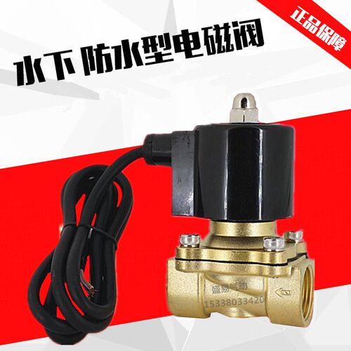 水下喷泉跳泉 6分防水电磁阀水阀开关阀2W200-20气阀AC220V DC24V