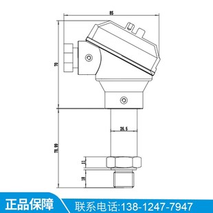 铸铝接线盒4 PCM300 压力变送器 式 20mA室外户外压力变送器 铠装