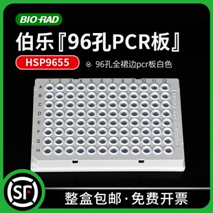 rad伯乐Hard HSP9655 Shell Well 96孔全裙边pcr板白色 Bio