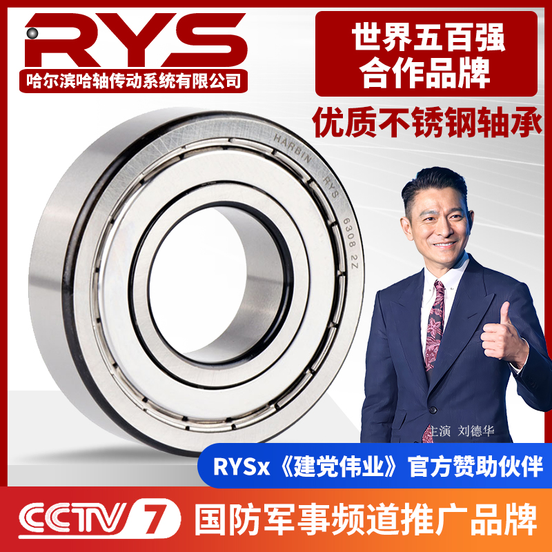 RYS 不锈钢轴承 6300 6301 6302 6303 6304 6305 ZZ  440材质