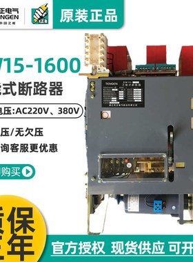 天正DW15-1600框架万能式断路器800A1000A1250A1600A热电磁