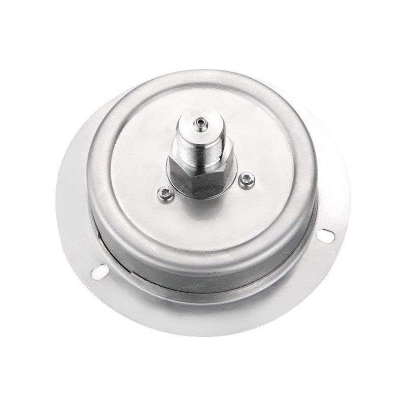 轴向带边304不锈钢膜盒压力表YE100ZTBF 压力表