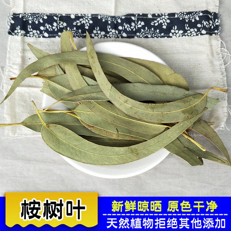 中药材  桉叶  桉树叶  蓝桉叶  羊草果叶  500g克  碎