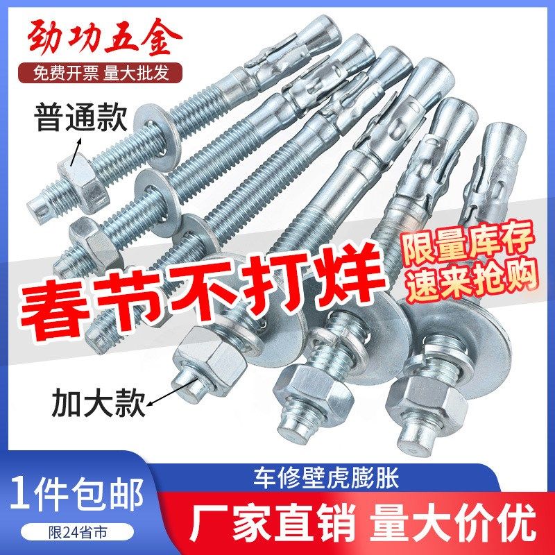 镀锌车修壁虎膨胀螺丝电梯专用膨胀螺栓拉爆螺栓m6m8m10m12m16mm