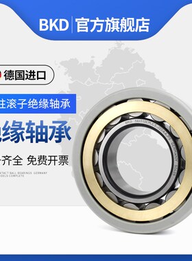 BKD德国进口NU224EM电磁绝缘轴承226铜保2000V轴承3000V内外绝缘