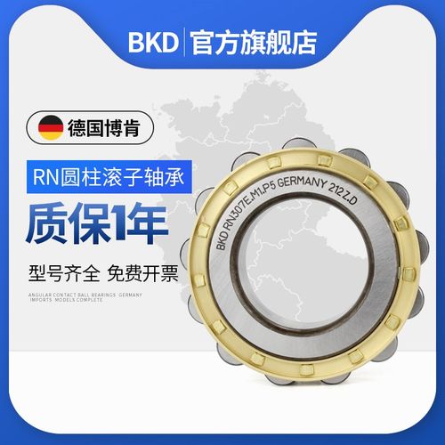 德国BKD进口圆柱滚子轴承RN311圆柱312滚子313 315 319EM轴承大全