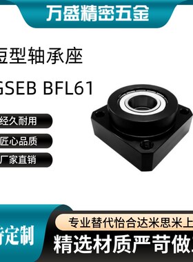 方型双轴承座组件 带扣环短型BGSEB BFL61 6904 6004法兰带座轴承