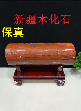 新疆精品鸡血红木化石摆件树化石收藏原石奇石观赏石家居礼品石头