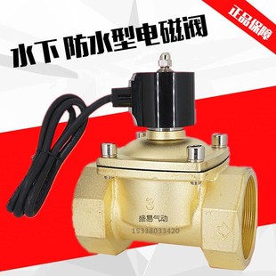 气阀AC220V DN80 DC24V 3寸防水电磁阀水阀开关阀 水下喷泉跳泉